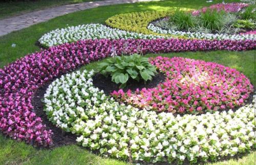 Красивые клумбы на дачном участке. Красивые клумбы — варианты оформления, правила организации, выбор места, советы новичкам + 99 фото