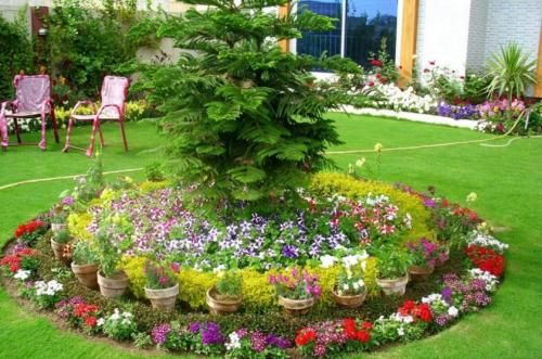 Оформление клумб на дачном участке. Особенности создания клумбы