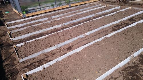 Ограждения для грядок из плоского шифера. Как сделать грядки из шифера своими руками: