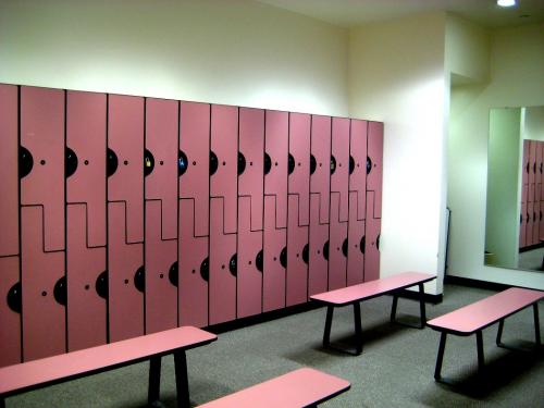 Шкафчики в раздевалку фитнес. Варианты шкафов в раздевалки фитнес клубов, советы по выбору