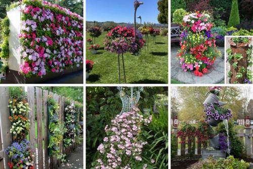 Ландшафтный дизайн маленького участка перед домом. Идеи и варианты ландшафтного дизайна на маленьком участке перед домом