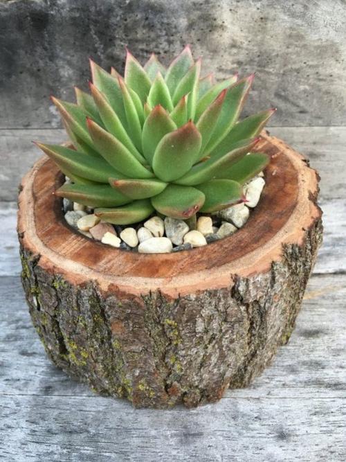 Маленький дачный участок, как обустроить. Лучшие идеи для дачи — дизайнерские идеи для дачи и правила обустройства дачного участка 105 фото