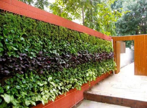 Ландшафтный дизайн маленького участка перед домом. Идеи и варианты ландшафтного дизайна на маленьком участке перед домом