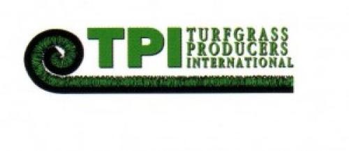 Состав рулонный газон. Травы для рулонного газона. 07 Состав рулонный газон. Травы для рулонного газона. 07