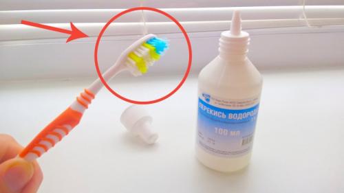 Причина появления плесени в ванной комнате. Последствия заражения патогенной флорой 07