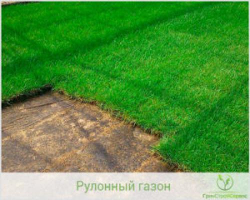 Состав рулонный газон. Травы для рулонного газона. 04 Состав рулонный газон. Травы для рулонного газона. 04