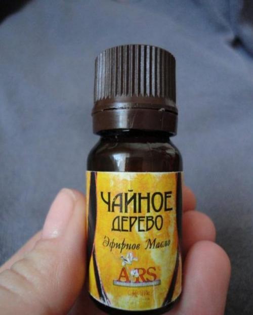 Причина появления плесени в ванной комнате. Последствия заражения патогенной флорой 10