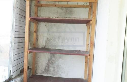 Причина появления плесени в ванной комнате. Последствия заражения патогенной флорой 19