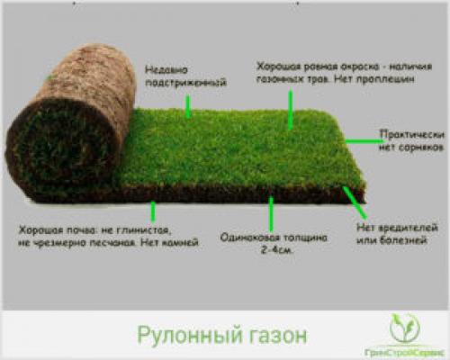 Состав рулонный газон. Травы для рулонного газона. 03 Состав рулонный газон. Травы для рулонного газона. 03