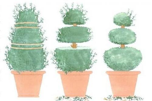 Шаблоны для стрижки кустов. ФИГУРНАЯ ДЕКОРАТИВНАЯ СТРИЖКА ДЕРЕВЬЕВ И КУСТАРНИКОВ-ТОПИАРИ СВОИМИ РУКАМИ.