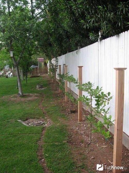 Дизайн дачного участка современные идеи. Стили дачного участка — подберите лучший стиль для своей дачи с примерами в этом обзоре (115 фото + видео) 27 Дизайн дачного участка современные идеи. Стили дачного участка — подберите лучший стиль для своей дачи с примерами в этом обзоре (115 фото + видео) 27