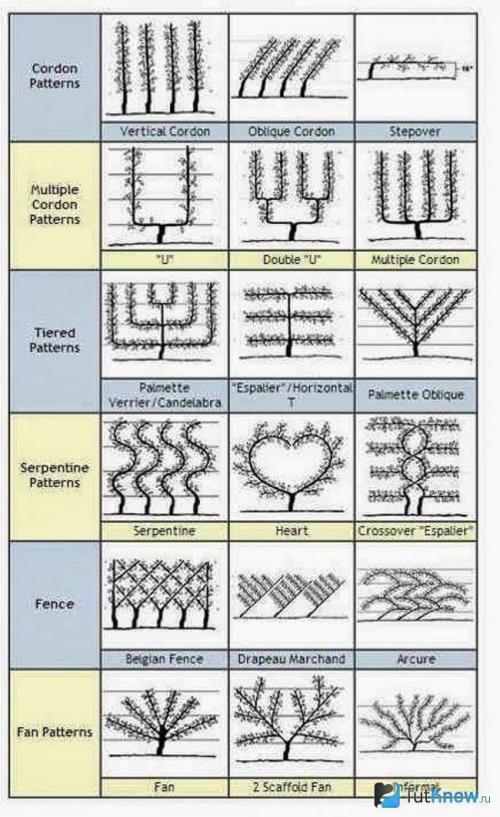 Дизайн дачного участка современные идеи. Стили дачного участка — подберите лучший стиль для своей дачи с примерами в этом обзоре (115 фото + видео) 34 Дизайн дачного участка современные идеи. Стили дачного участка — подберите лучший стиль для своей дачи с примерами в этом обзоре (115 фото + видео) 34