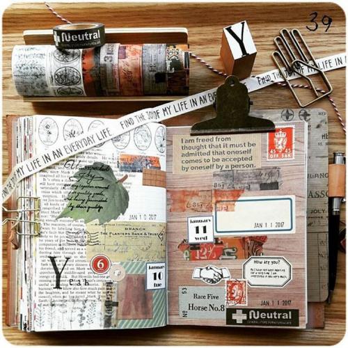 Как можно оформить подвал под домом с входом со двора. Почему необходим подвал под жилым домом 11