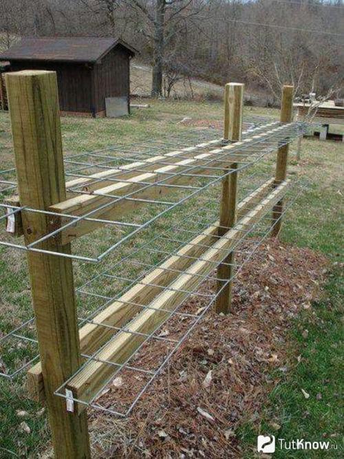 Дизайн дачного участка современные идеи. Стили дачного участка — подберите лучший стиль для своей дачи с примерами в этом обзоре (115 фото + видео) 25 Дизайн дачного участка современные идеи. Стили дачного участка — подберите лучший стиль для своей дачи с примерами в этом обзоре (115 фото + видео) 25