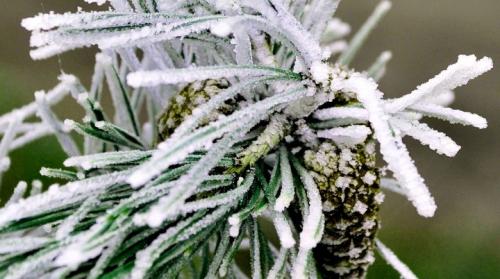 Как сделать из пенопласта домик снежный. Искусственный снег в домашних условиях