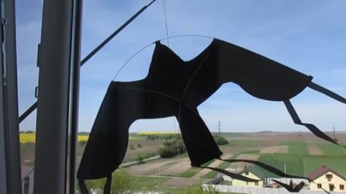 Пугало ворона своими руками. Пугало в огород в форме хищной птицы на скорую руку – 2 варианта