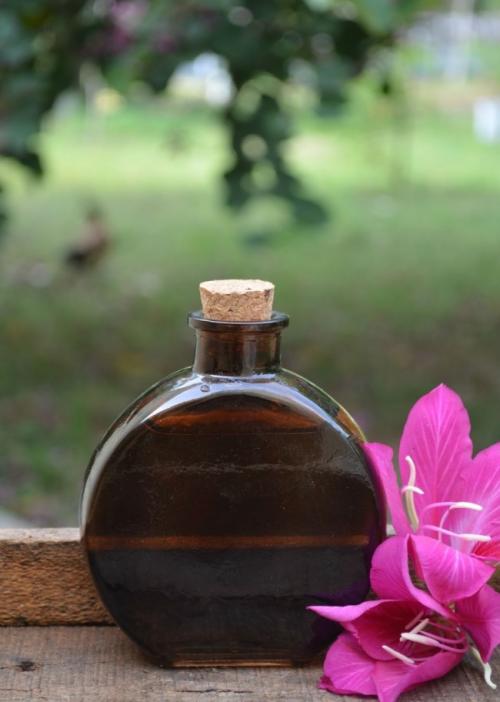 Как удалить грибок и плесень на стенах навсегда самостоятельно. Народные и профессиональные методы борьбы с плесенью на стенах