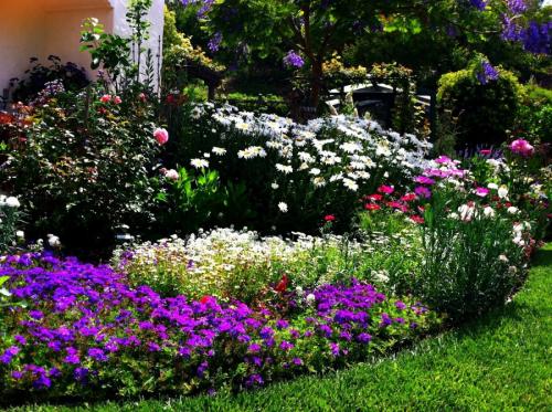 Оформление клумб. Клумба своими руками — роскошные идеи дизайнеров и советы по дизайну и оформлению (105 фото)