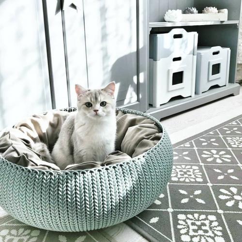 Квартира в скандинавском стиле. Как думаете, легко ли создать скандинавский интерьер самому? 01