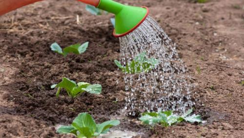 Как снизить расходы на воду: 10 проверенных методов 04