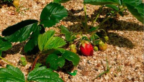 Как снизить расходы на воду: 10 проверенных методов 02