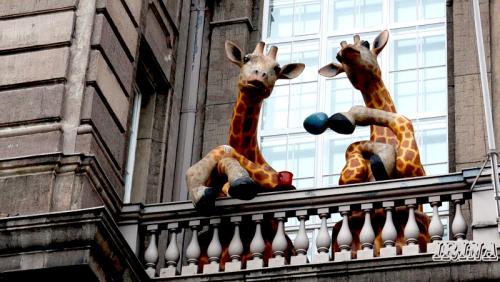 Когда лучше остеклить балкон. Казалось бы банальное остекление балконов, а столько вопросов - столько вопросов :-)