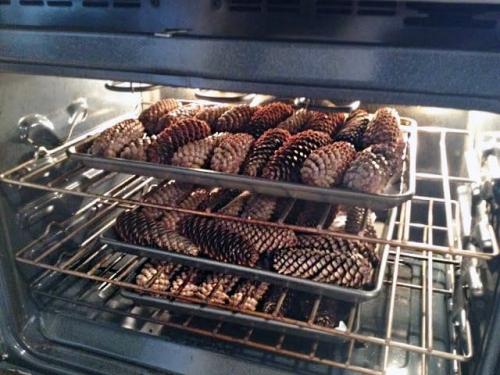 Как сделать сову из шишек. Поделка из фетра