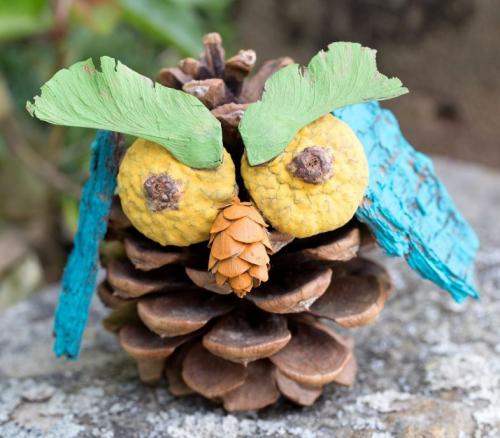 Сова своими руками из природных материалов. Поделка сова своими руками — учимся делать сову из природных материалов. 135 фото идей красивого дизайна поделки