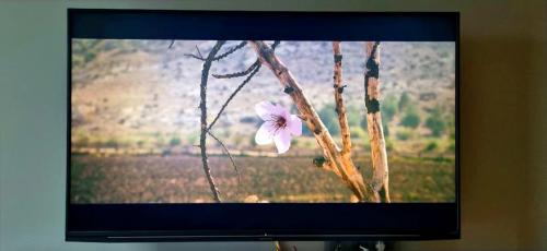 Как снизить расход электроэнергии, чтобы платить меньше. Что в квартире больше всего «мотает» свет, и как снизить расходы на электроэнергию