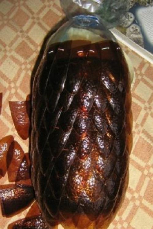 Сова из пластиковых бутылок МК. Сова из пластиковых бутылок 09 Сова из пластиковых бутылок МК. Сова из пластиковых бутылок 09