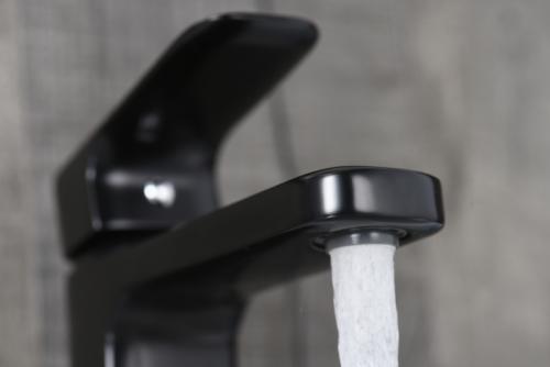 Какие устройства можно установить, чтобы сэкономить воду.  Картридж для экономии и аэратор для удобства