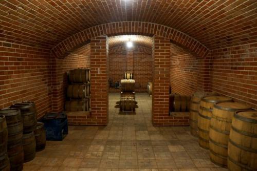 Погреб в загородном доме. Погреб своими руками — постройка, дизайн, оформление и обустройство погреба (110 фото)