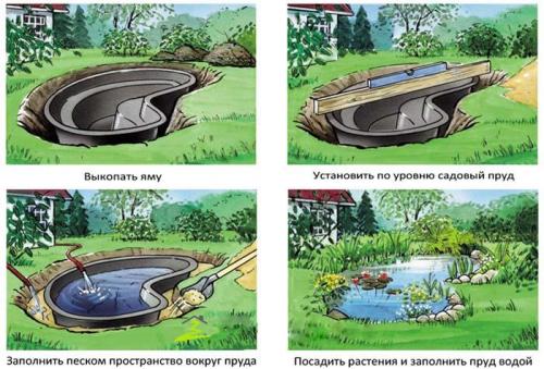 Какие растения лучше всего подходят для ландшафтного дизайна участка в 15 соток в вашем климате. Что следует учитывать при планировании работ