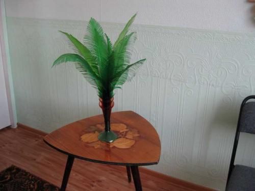 Пальмы из пластиковых бутылок. Пальма из пластиковых бутылок – пошаговая инструкция, как сделать искусственное растение (85 фото)