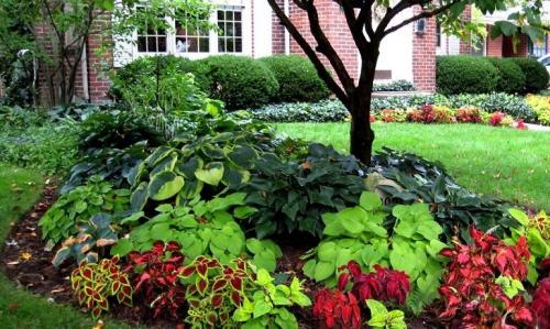 Как правильно разбить дачный участок 6: советы и рекомендации 03 Как правильно разбить дачный участок 6: советы и рекомендации 03