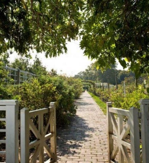 Как создать красивый и функциональный вход на участок. 17 неординарных идей по оформлению входа на ваш участок