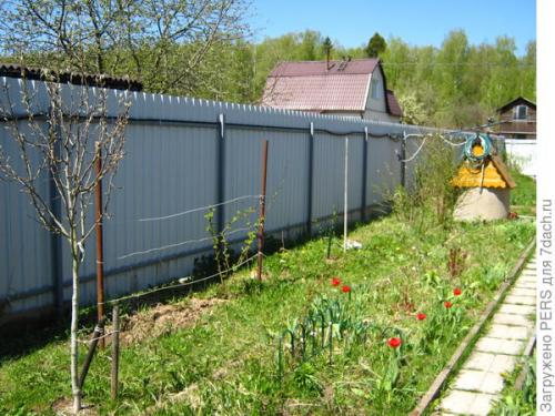 Какие рекомендации по освещению участка 15 соток. Как я сделал уютное и практичное освещение на своих шести сотках