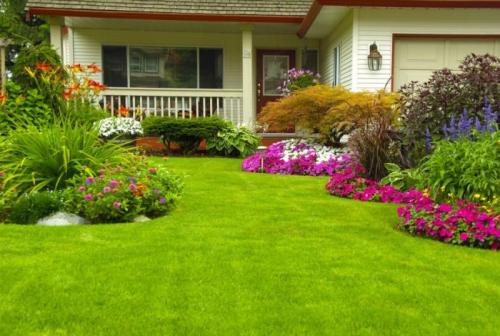 Какие растения лучше всего сажать на участке 15 соток. Ландшафтный дизайн участка 15 соток — 130 фото вариантов оформления и схемы размещения основных элементов