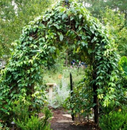 Как создать красивый и функциональный вход на участок. 17 неординарных идей по оформлению входа на ваш участок