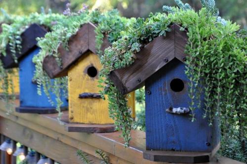 Какие элементы декора можно использовать для украшения участка. Функциональный декор