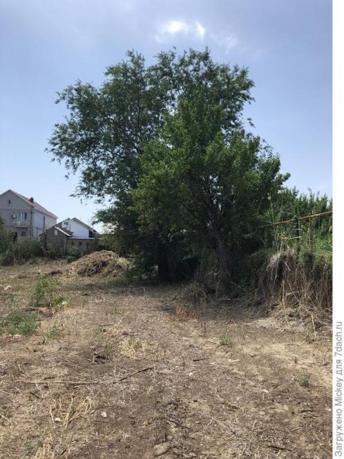 Какие основные принципы планировки участка 16 соток. Как грамотно распланировать узкий участок шириной 16 м, длиной 118 м?