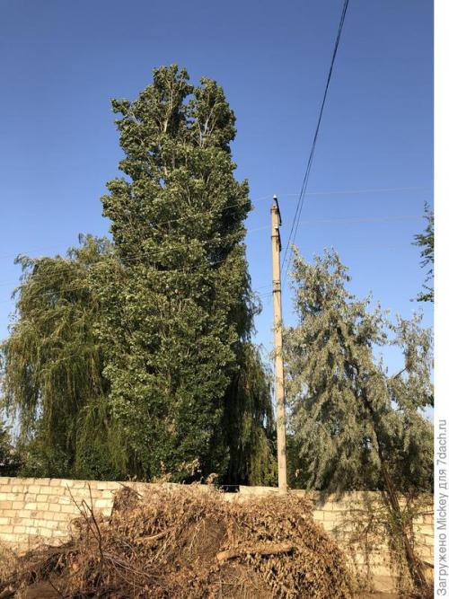 Какие основные принципы планировки участка 16 соток. Как грамотно распланировать узкий участок шириной 16 м, длиной 118 м?