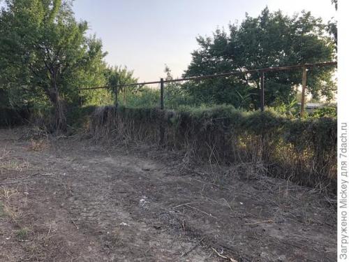 Какие основные принципы планировки участка 16 соток. Как грамотно распланировать узкий участок шириной 16 м, длиной 118 м?