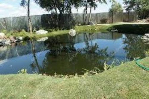 Можно ли разбить на участке 15 соток пруд или фонтан, и как это сделать. Можно ли копать пруд на своем участке