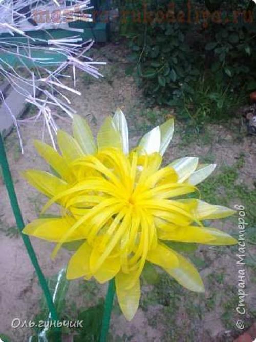 Совенок из пластиковых бутылок своими руками. Сова из пластиковой бутылки 32 Совенок из пластиковых бутылок своими руками. Сова из пластиковой бутылки 32