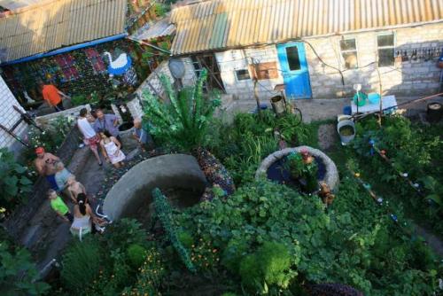 Маленькая пальма из пластиковых бутылок. Пальма из пластиковых бутылок – пошаговая инструкция, как сделать искусственное растение (85 фото)