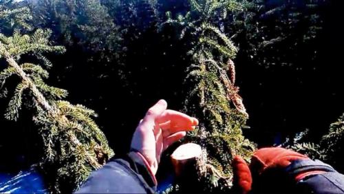 Бесконтактное пчеловодство в 5 литровых бутылках. Про бутылочное пчеловодство 14