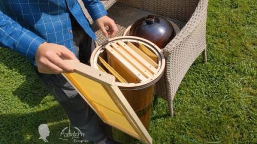 Вывод маток в пластиковых бутылках. Преимущества разведения пчел в пластиковых бутылках