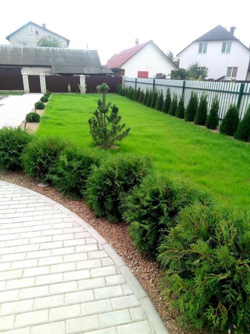 Что стоит учитывать при планировке дачного участка площадью 15 соток. Планировка участка 15 соток — с чего начать?