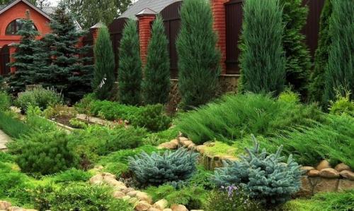 Функциональная и красивая планировка дачного участка 15 соток 11